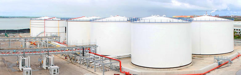  Gse-BIZZ BV is experienced in providing efficient storage systems for customers in Rotterdam. We store vital products with care. With over 36 years of history and a focus on sustainability, we ensure safe, clean and efficient storage and handling of bulk liquid products and gases for our customers. By doing so, we enable the delivery of products that are vital to our economic growth and daily lives, ranging from chemicals, oils, gases and LNG to biofuels and vegoils. 

 Our determination to develop key infrastructure for the world's changing energy systems is unmatched, while simultaneously investing in innovation and digitization. 

 Our tank farms are situated above the ground and some beneath, with support for successful discharges of products into heavy duty oil tankers and pipelines. Gse-Bizz BV have large industrial amenities for the storage of oil and petroleum products before these products are formally transported to the end users or other storage facilities. 

